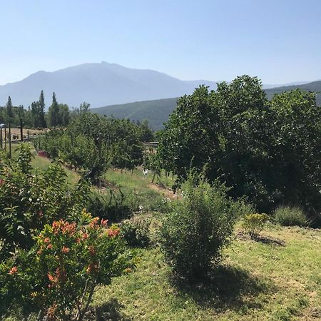 Els Pirineus Διαμέρισμα Moltig les Bains Εξωτερικό φωτογραφία