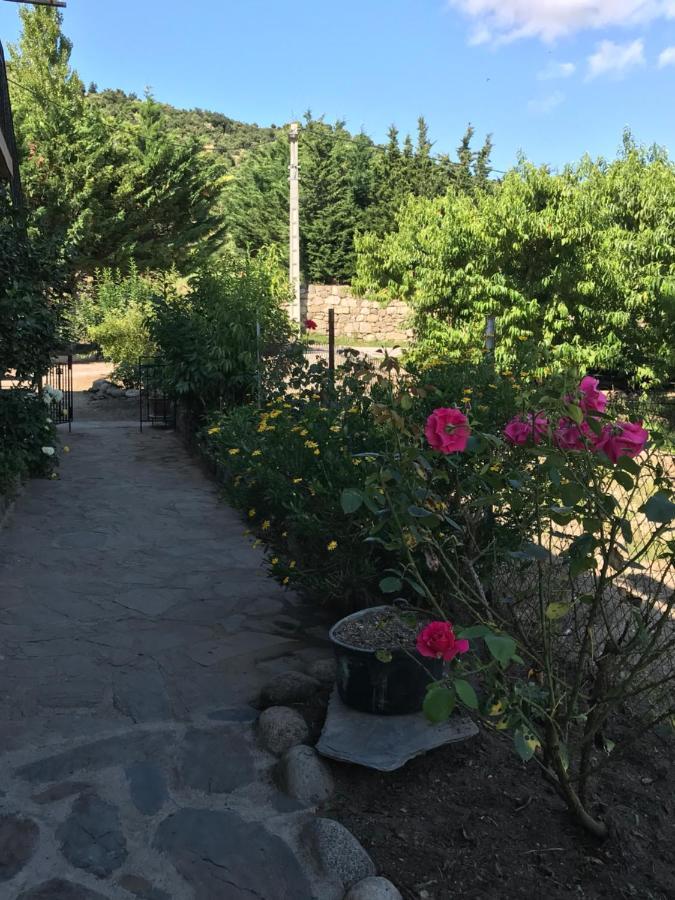 Els Pirineus Διαμέρισμα Moltig les Bains Εξωτερικό φωτογραφία