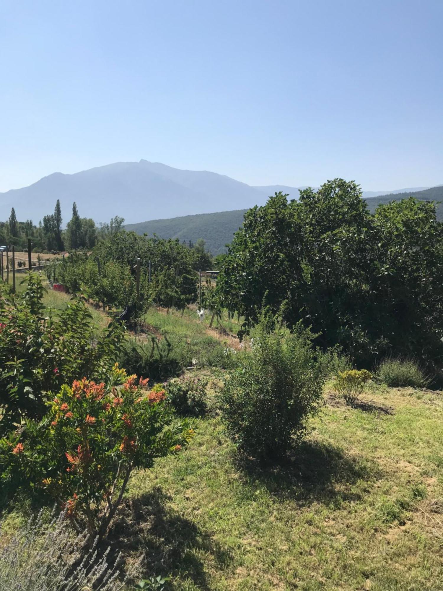 Els Pirineus Διαμέρισμα Moltig les Bains Εξωτερικό φωτογραφία